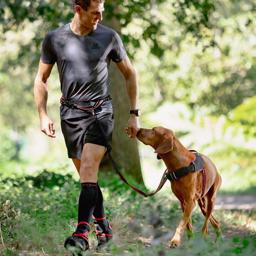 Rogz Airtech Sportbälte för promenader och löpning med hunden GRÅT